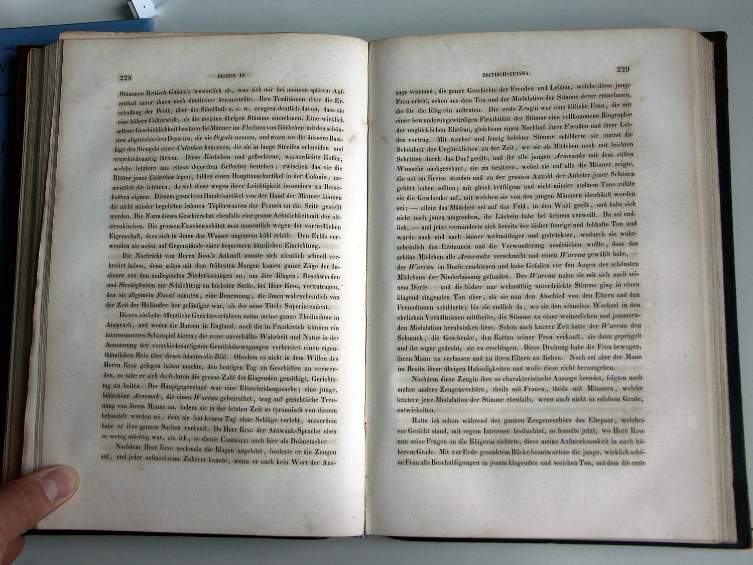 ZZ-RISC47,S.228 Arawak Korb und Flechten